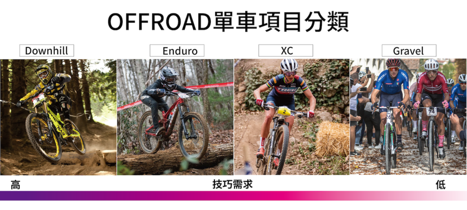 Downhill/ Enduro/ XC/ Gravel